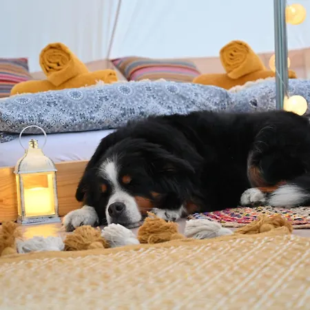 Luxussátor Glamping Sumvody *